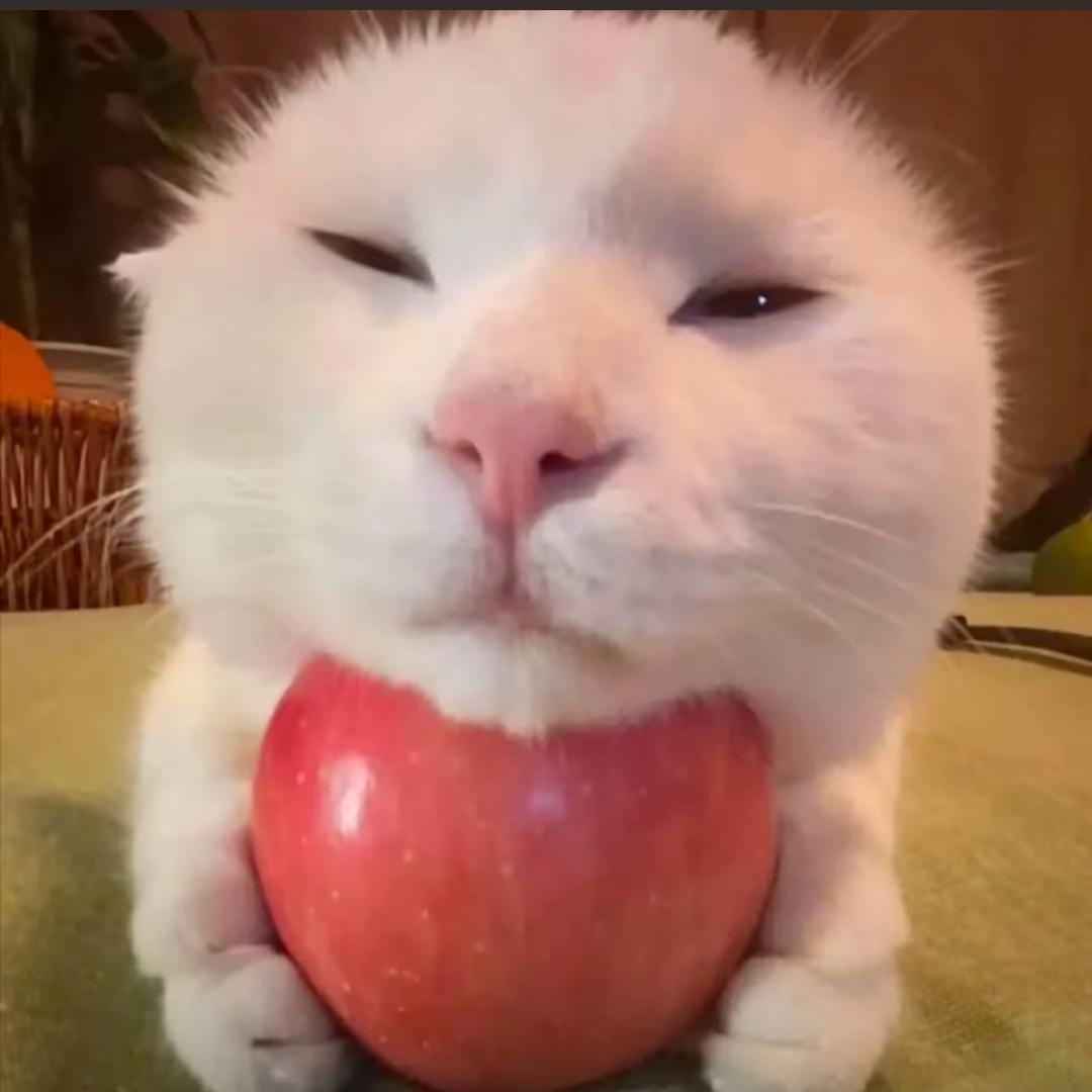 小鹿瑶花手