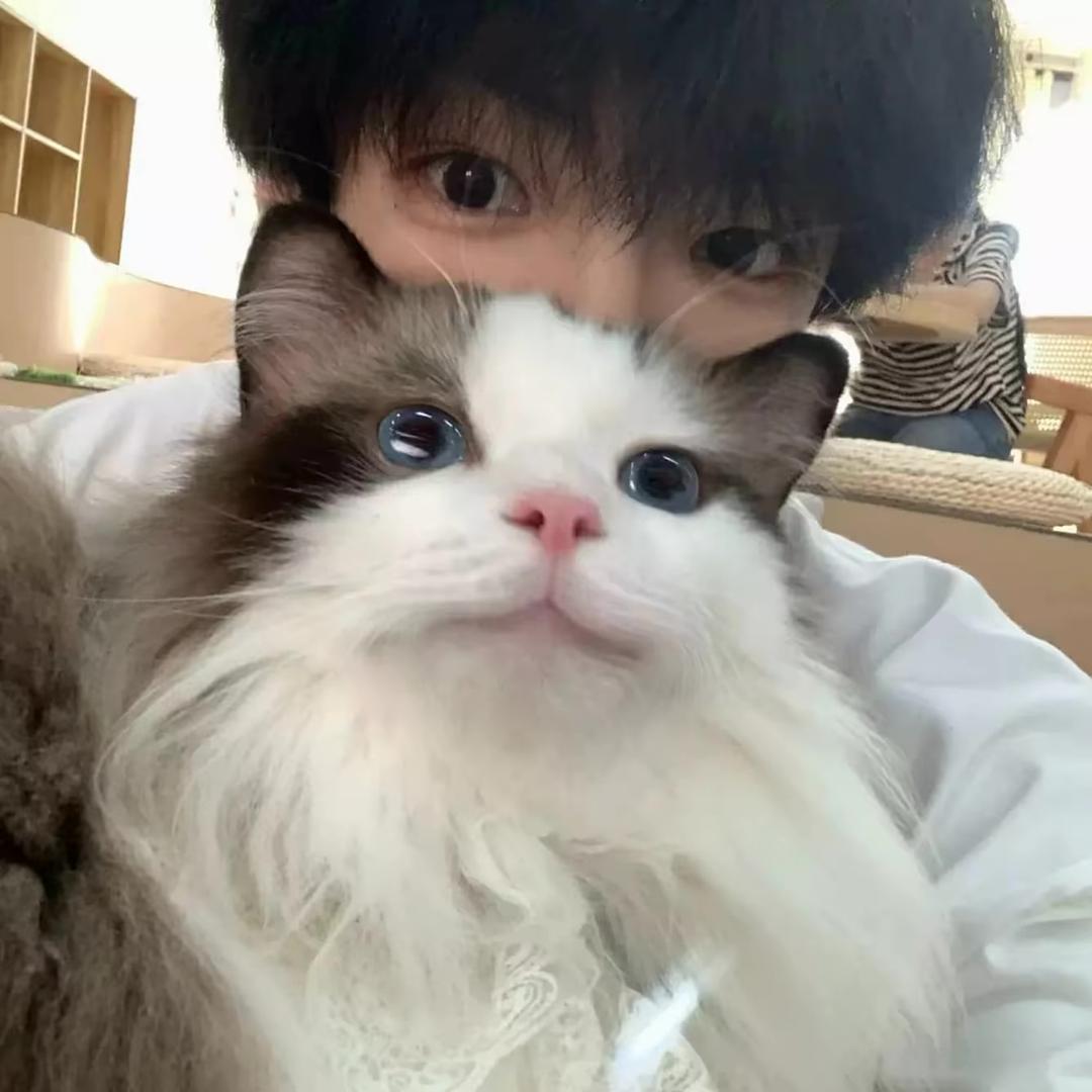 我心本无泪