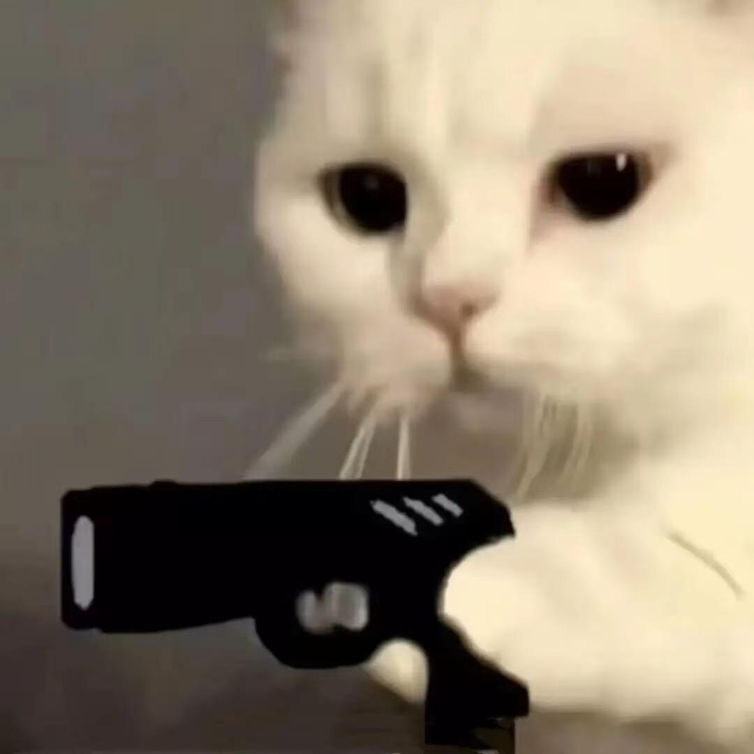 白麟辉