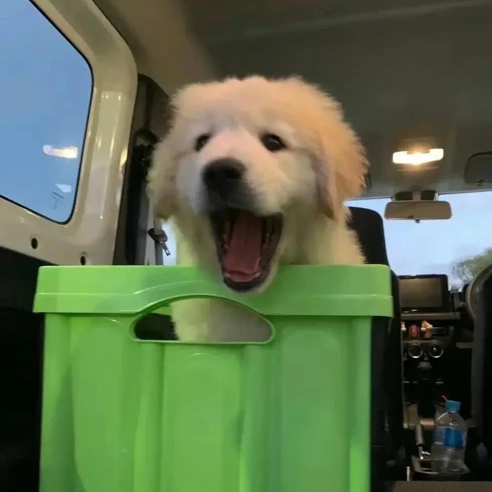 难银～