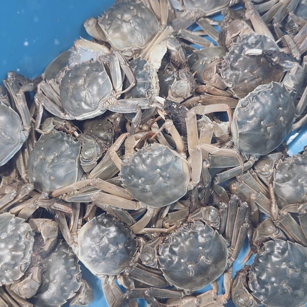 信果仓