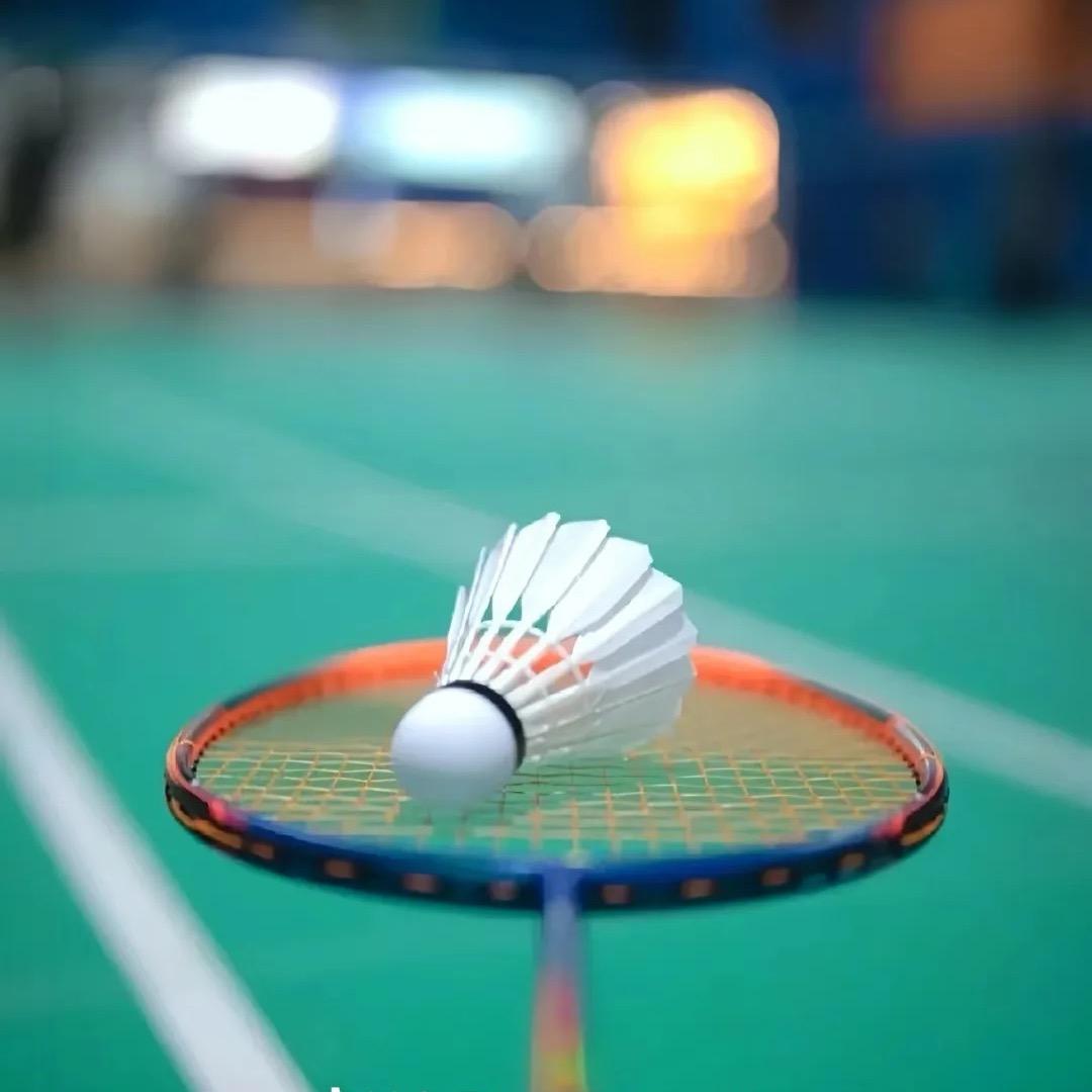 羽毛球培训🏸林教练