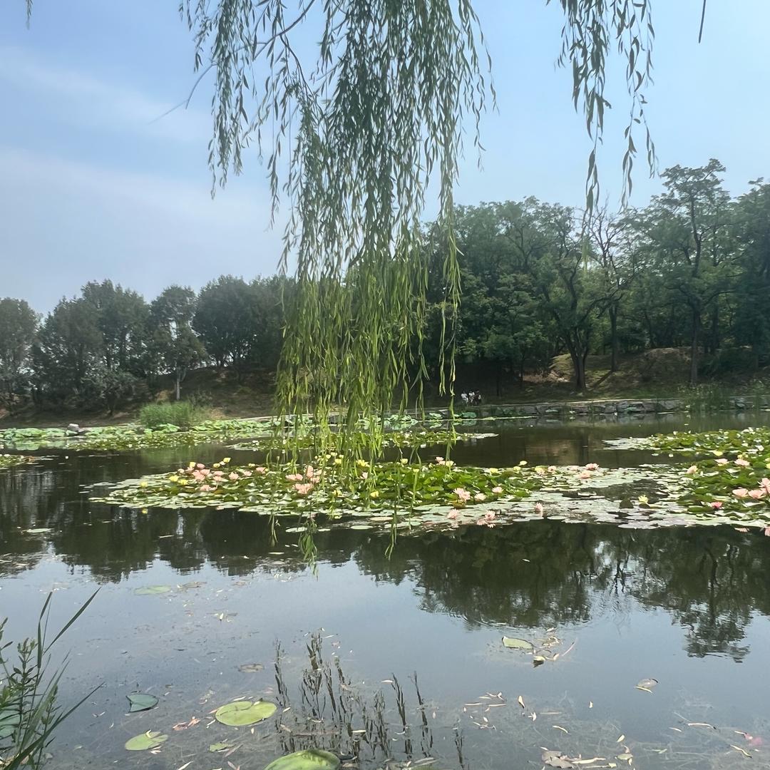 豪熠（游戏人间）