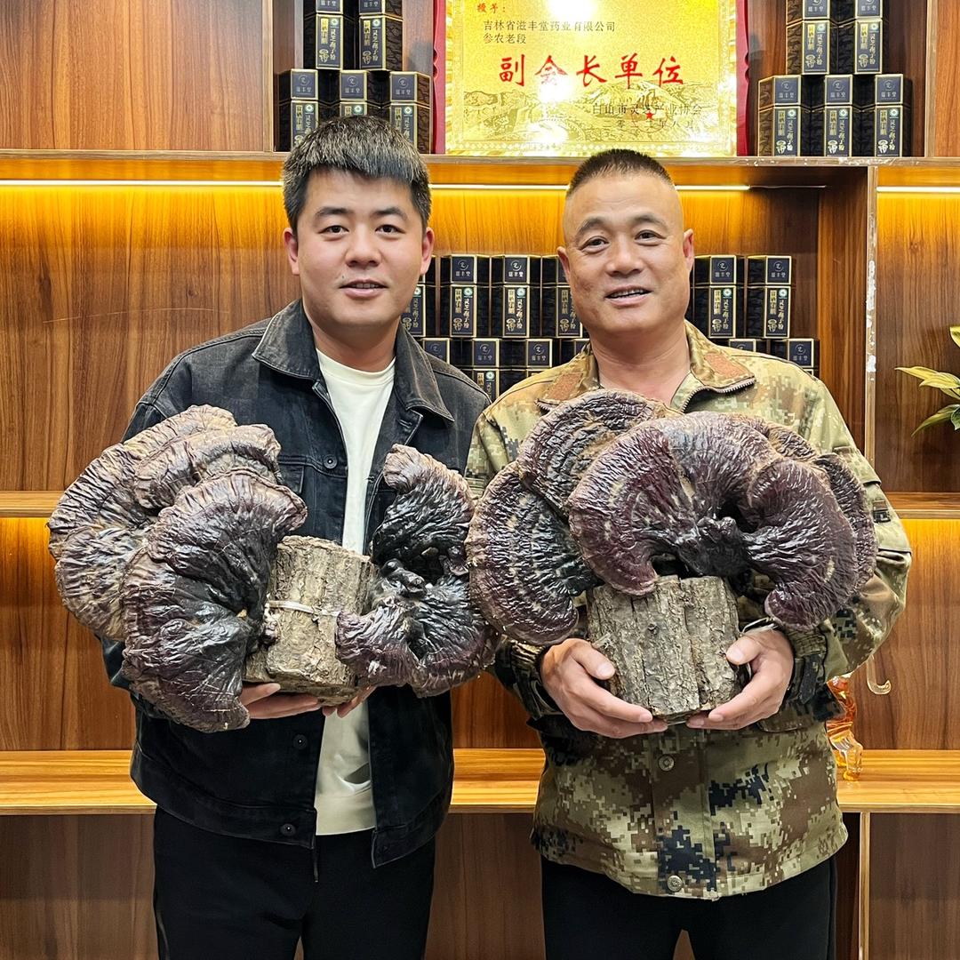 滋丰堂官方旗舰店