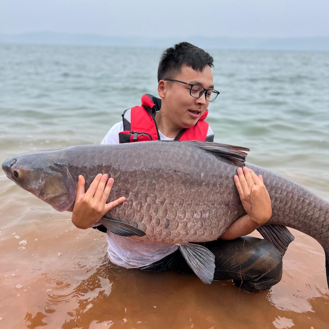 龍云酒楼