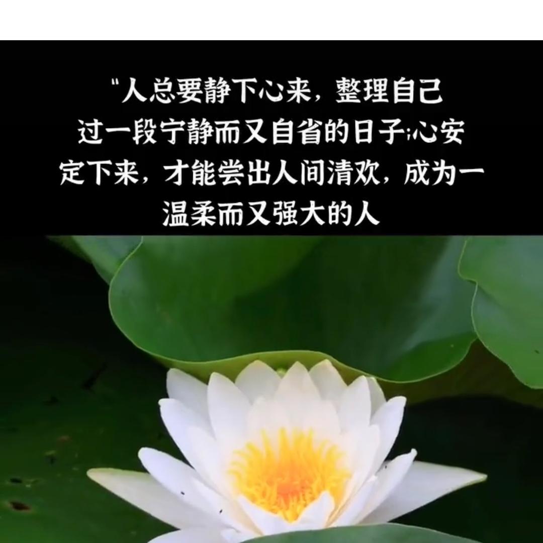 和雅