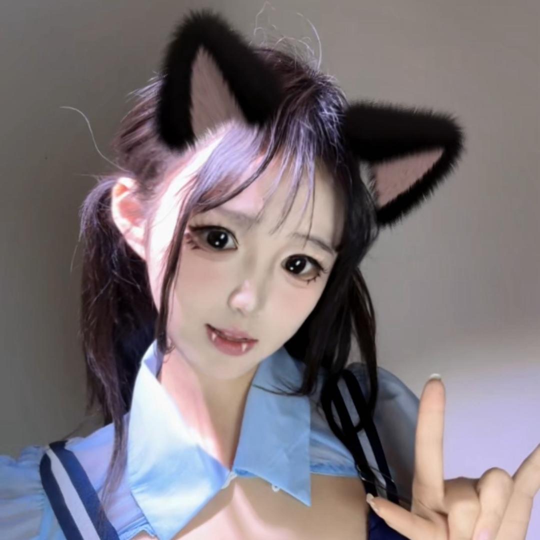 提拉米米猪