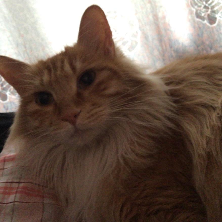 当涂简墨设计装饰-夏阳