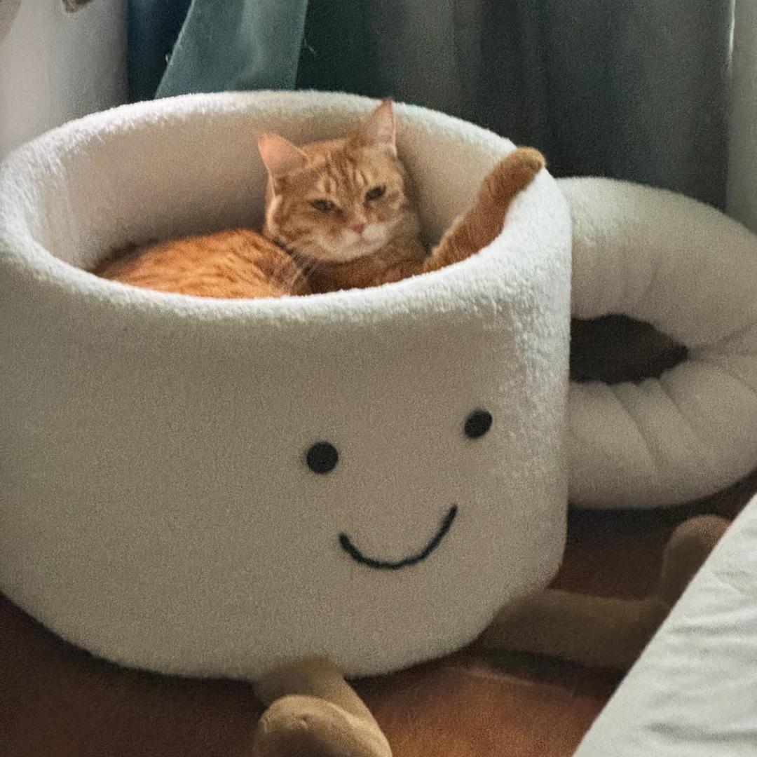 爱分享的哆啦🐱