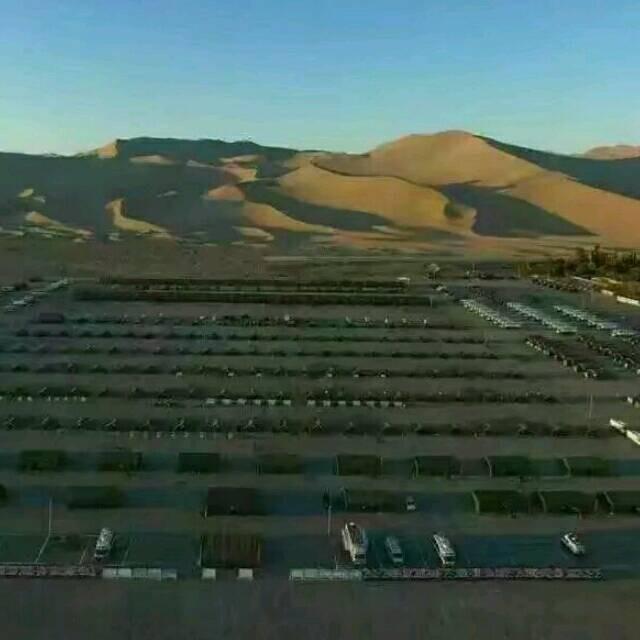 骑着蜗牛去打仗