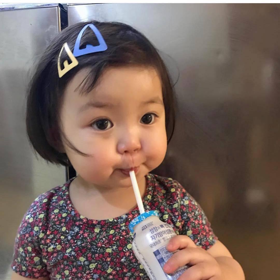 困炸了的兔子