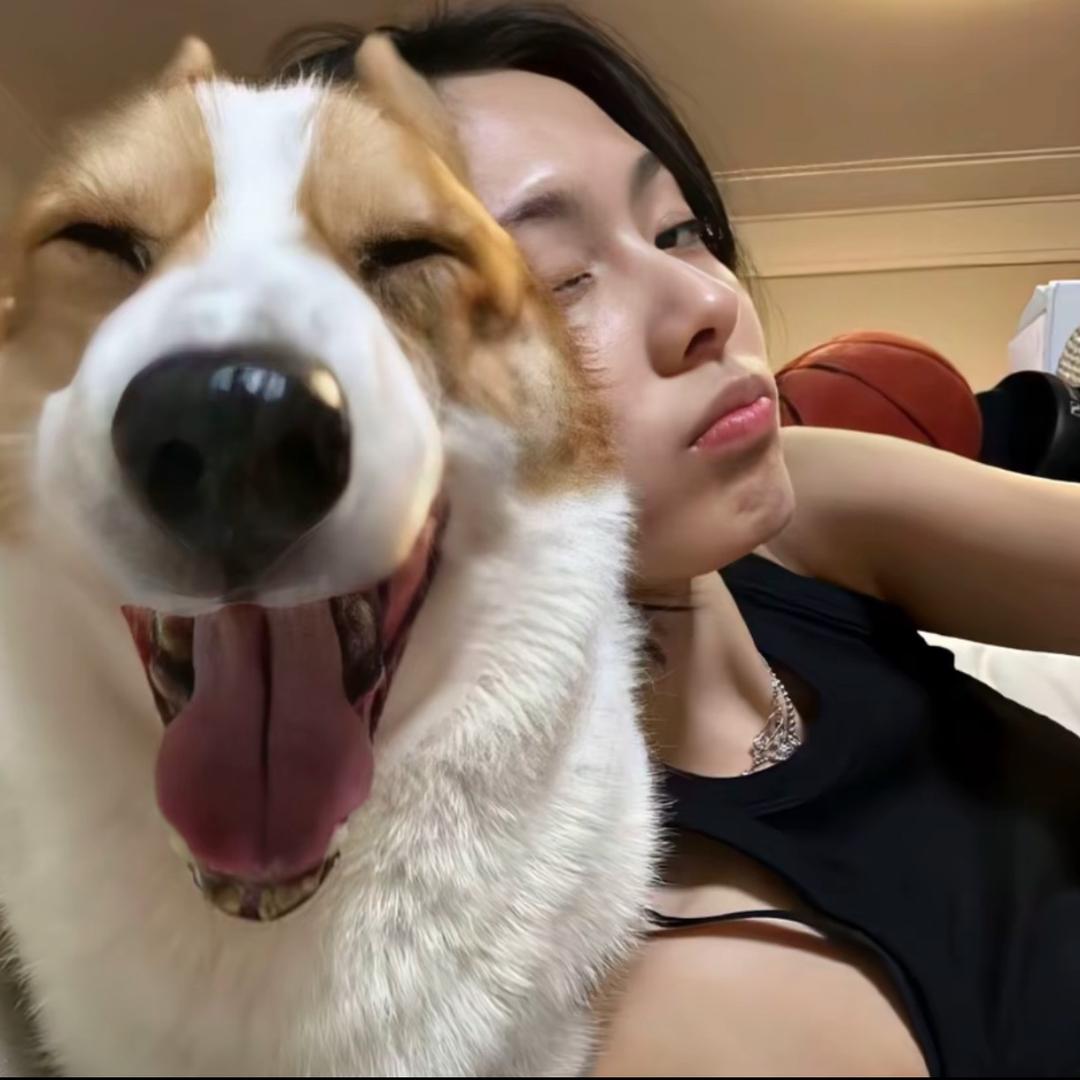 琛