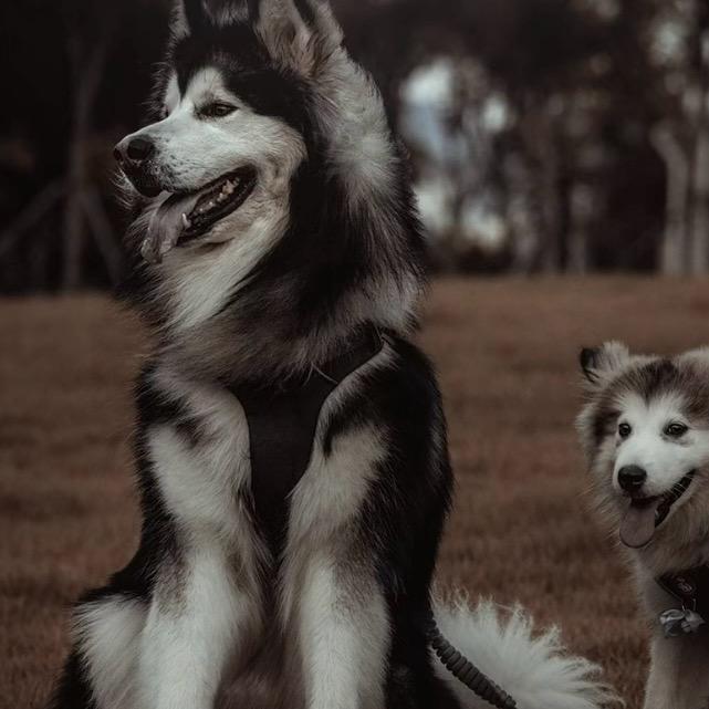 ——-