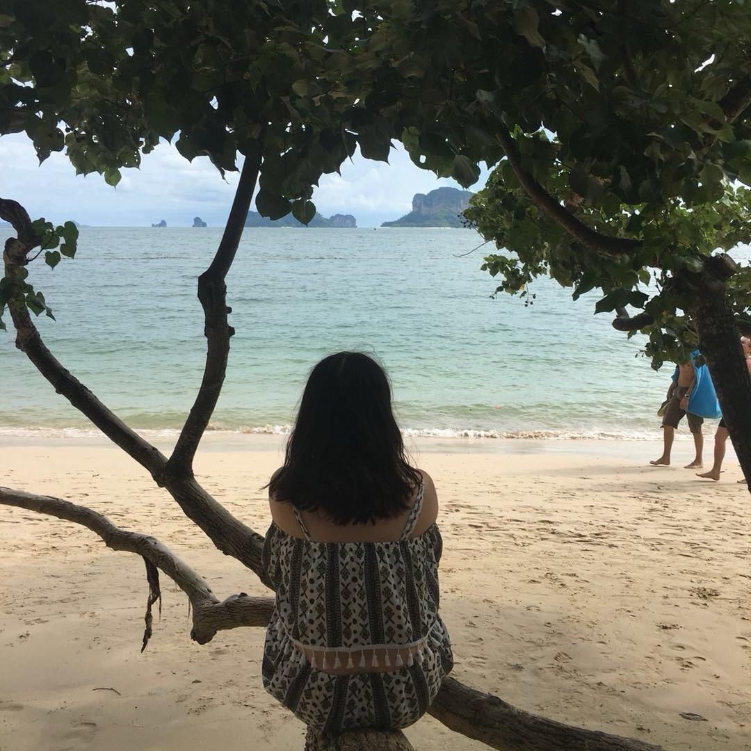 不定时抽风的犟种 🌺。