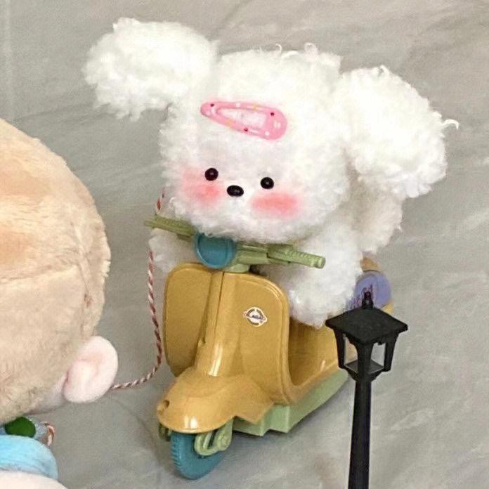 三毛啊.
