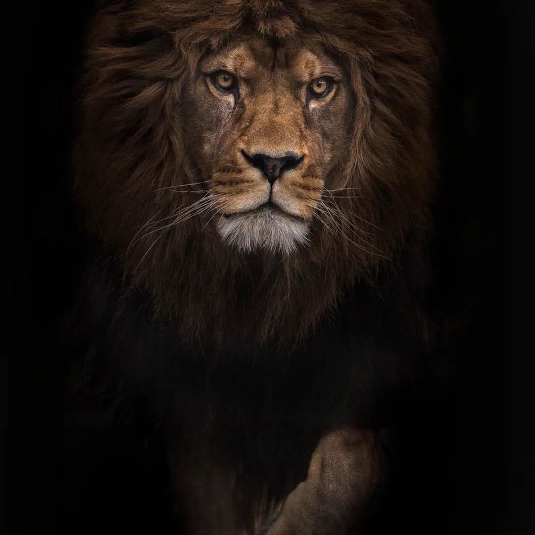 老陈的闲散时光