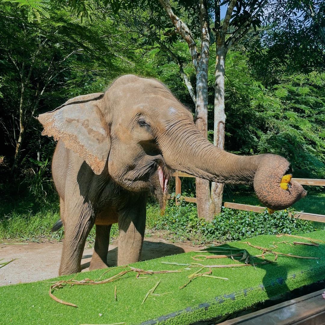 董老大胡辣汤无梁店