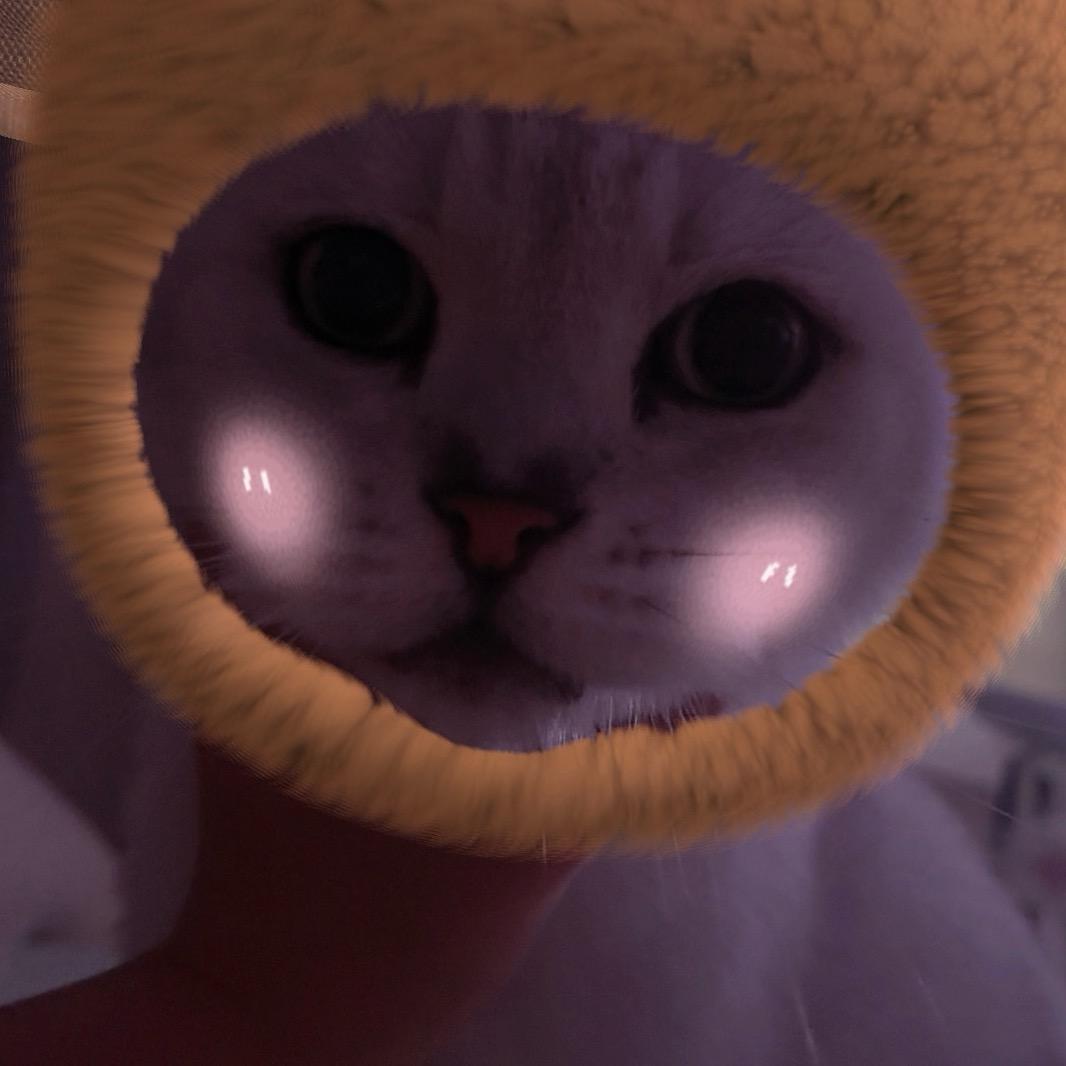 啵啵虎虎
