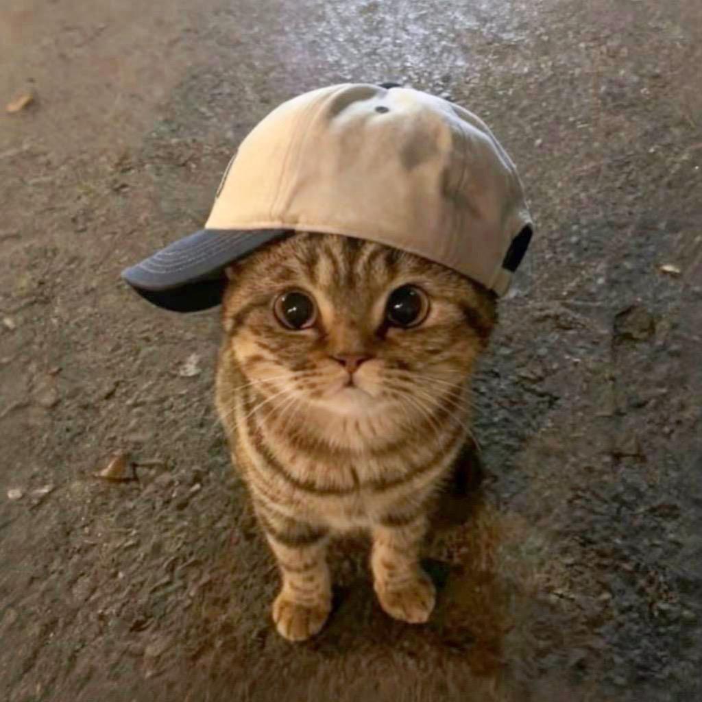 应用权限的腚沟