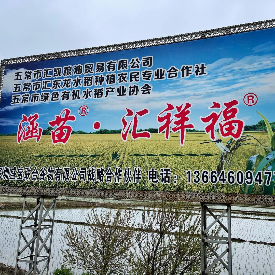 五常—李伟