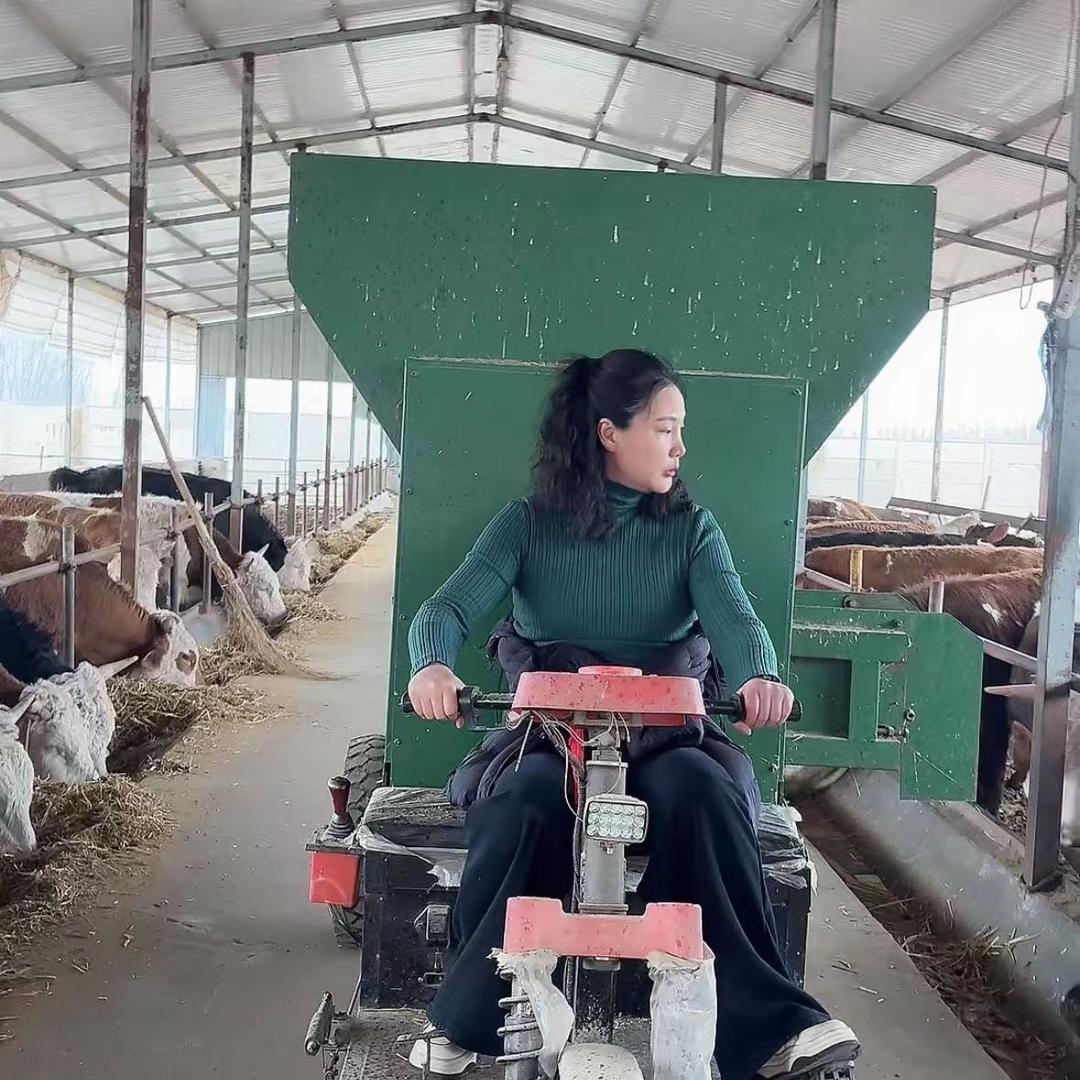 阿云说牛