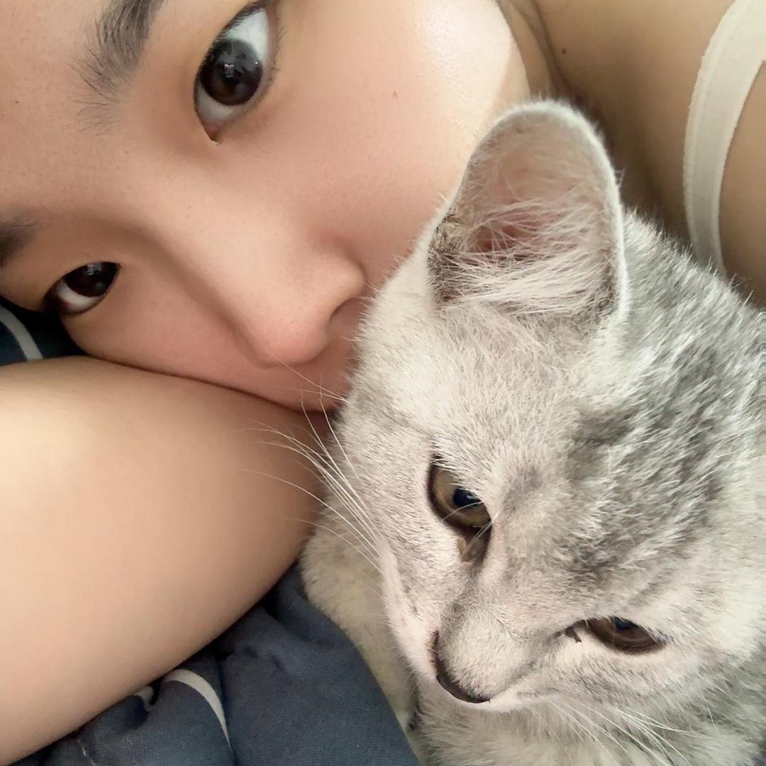 心向旷野（请替我自由）