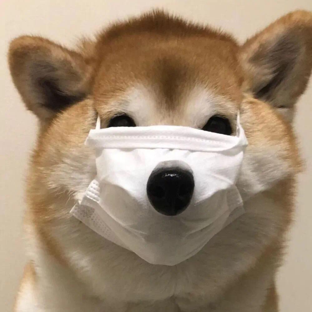 讹然