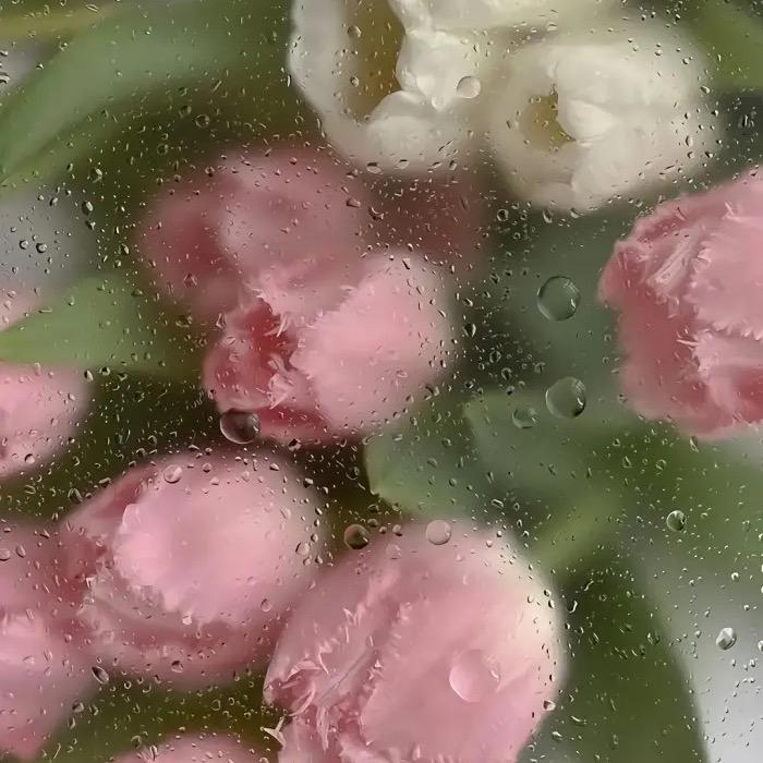 长命百岁