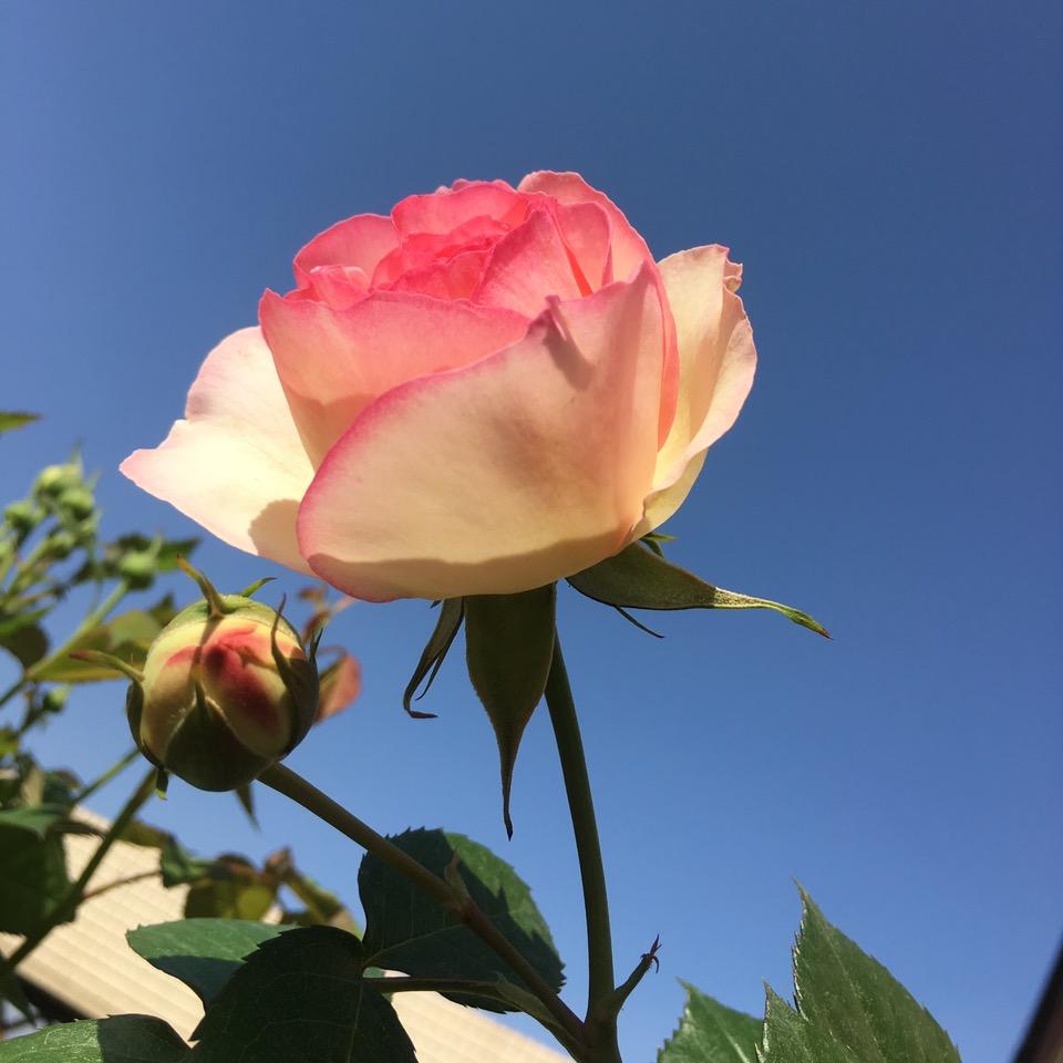 时间零