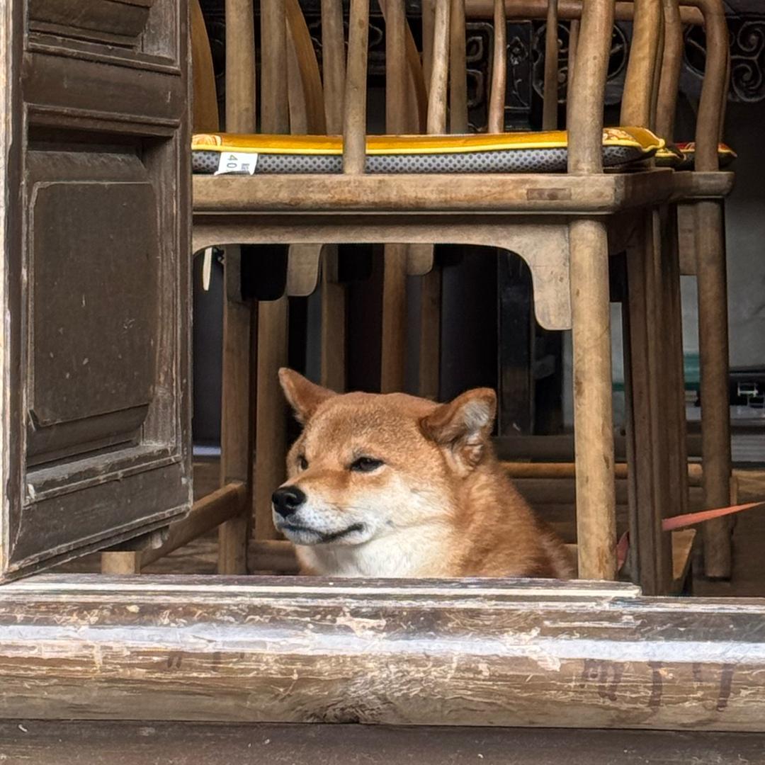 阿良吃饱了