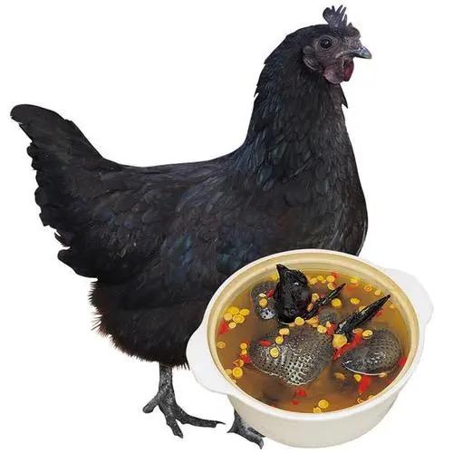 有生鲜禽好货店