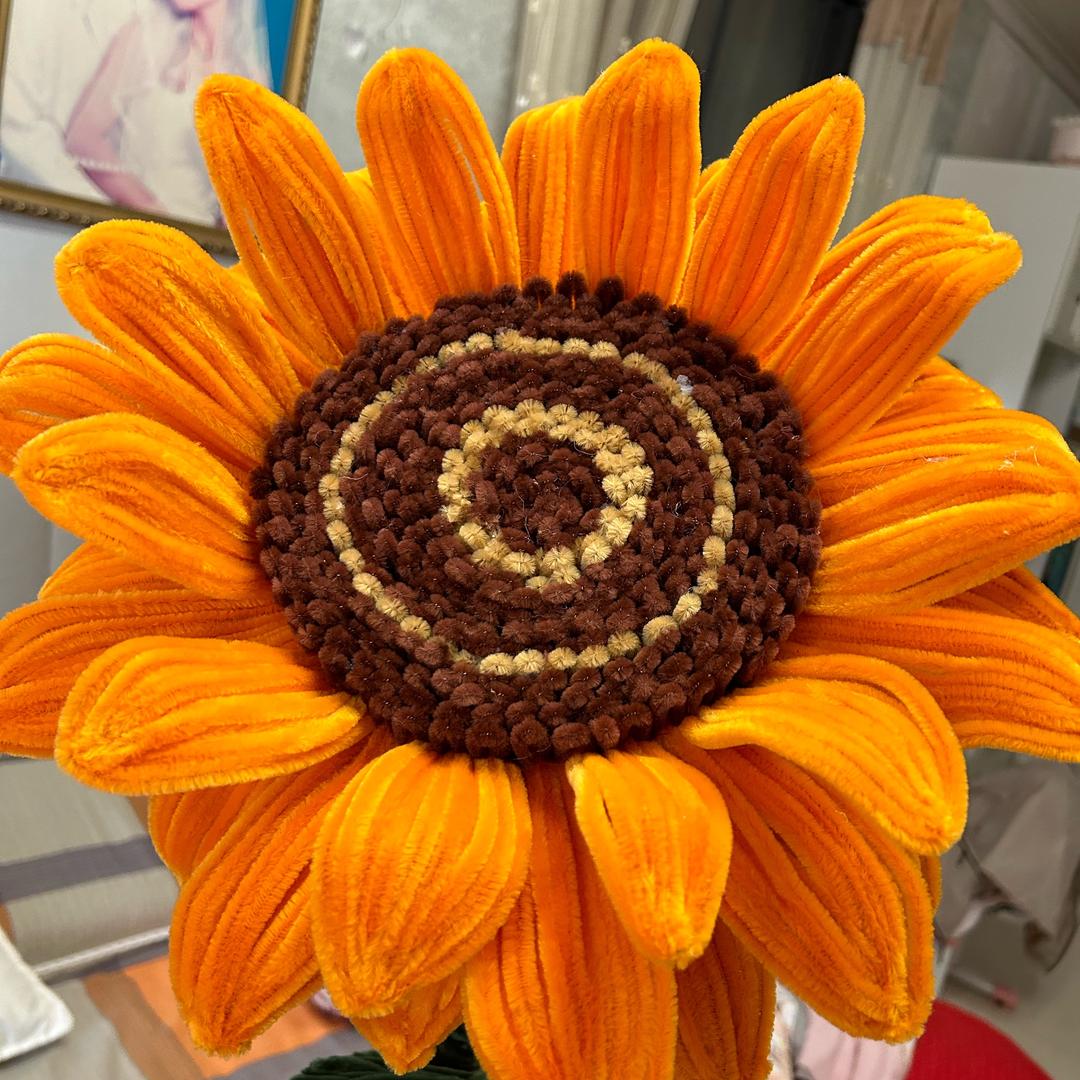 原阳房产装修一体化