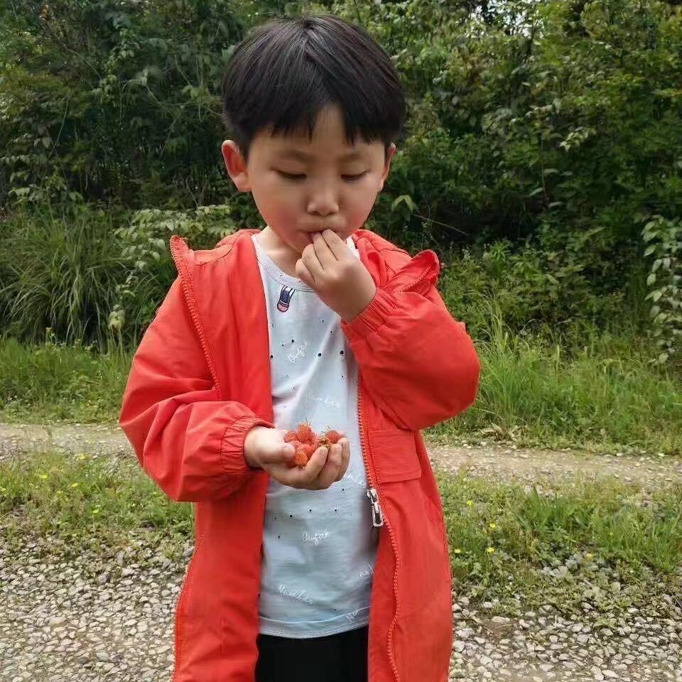 鳕鱼小子