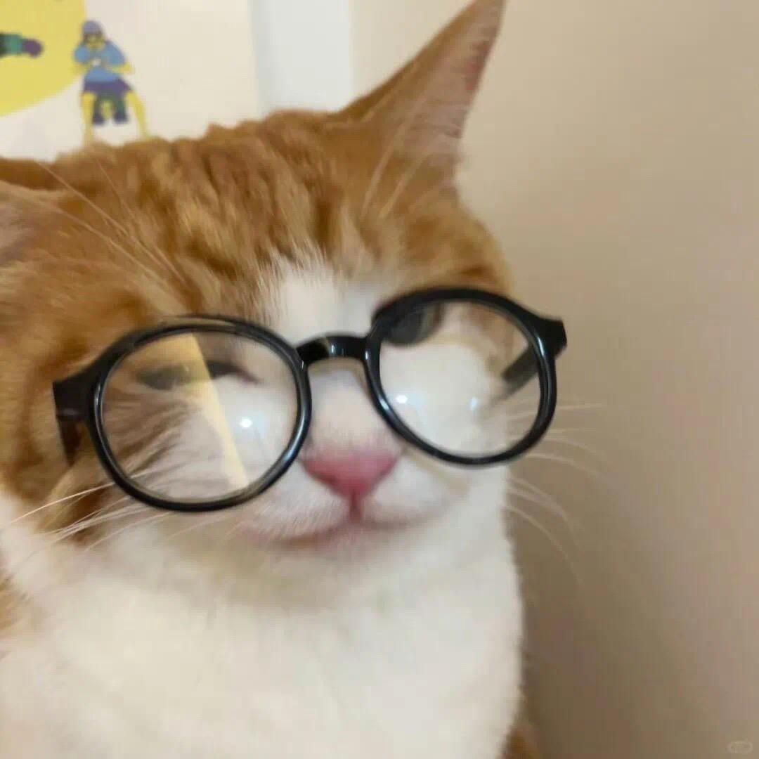 Bl