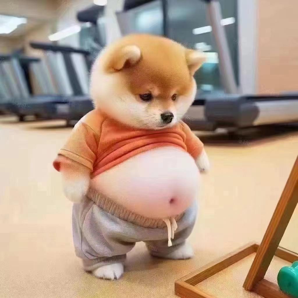 ໑ຼₒ₂₄逆风局꧔ꦿ᭄࿐ᩚ