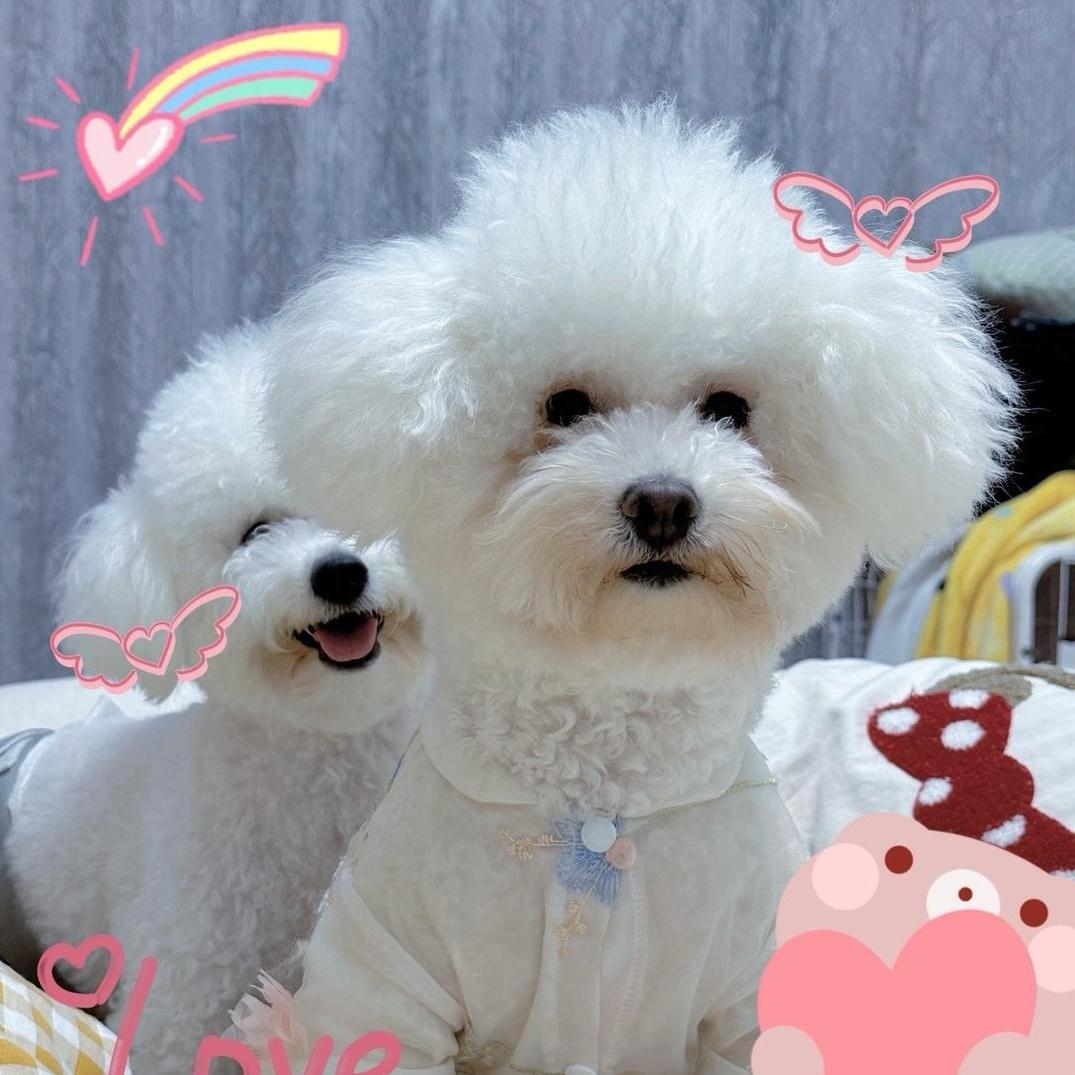 伊一🐾