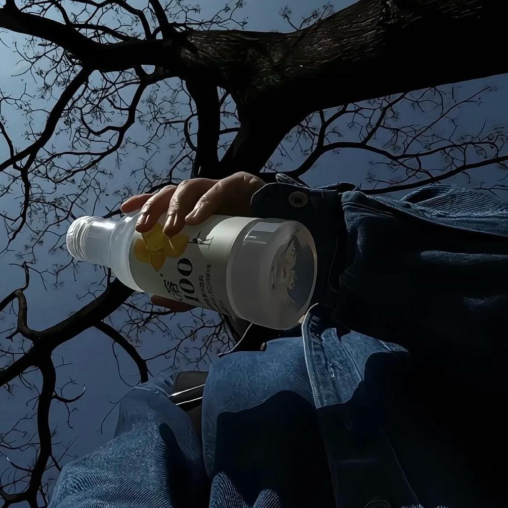 星坠砚池