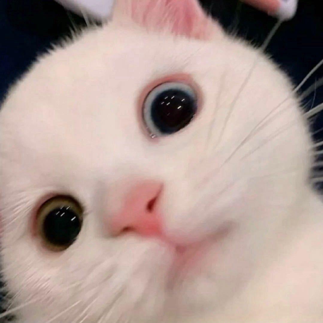 凡 人