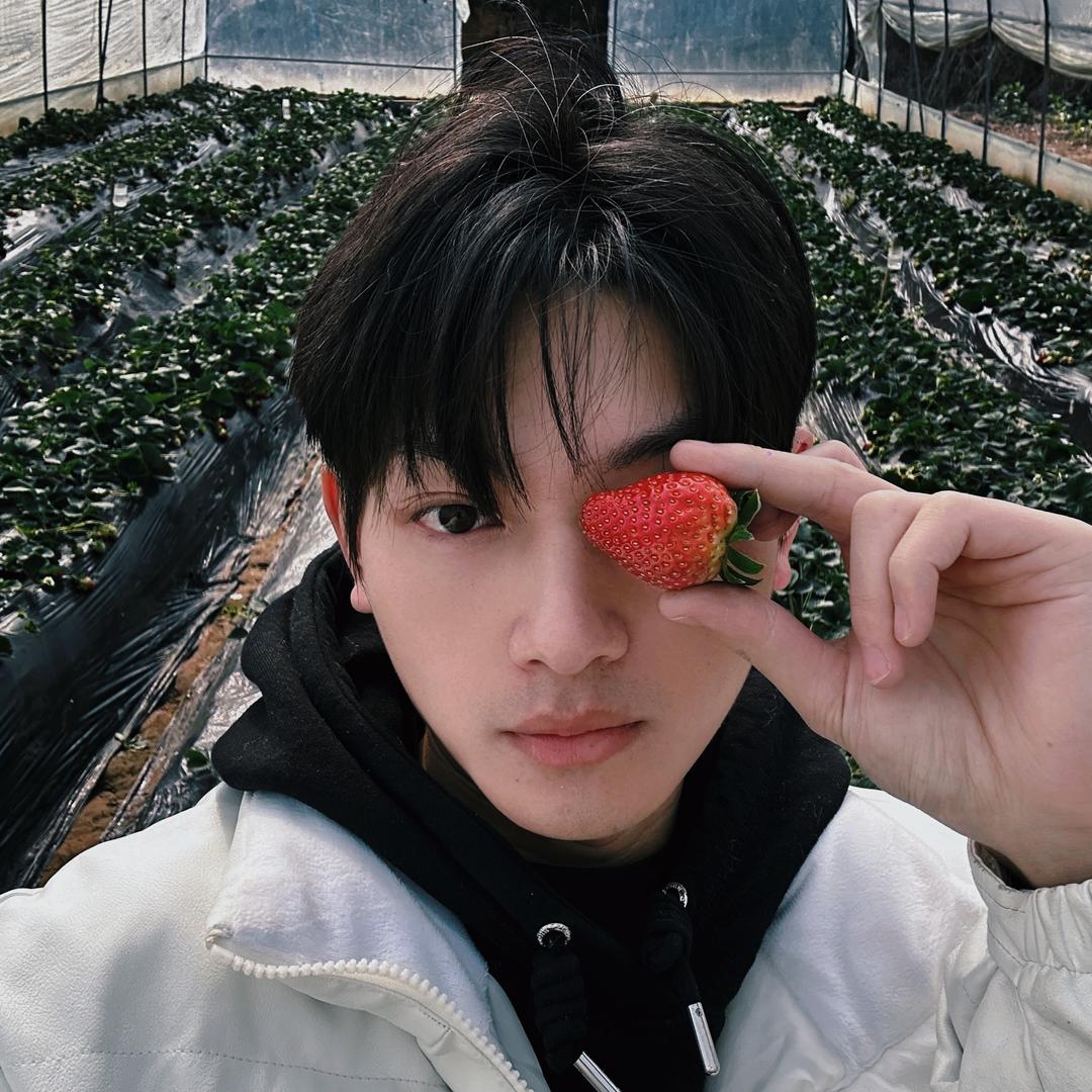 哆哆莱水果小毅