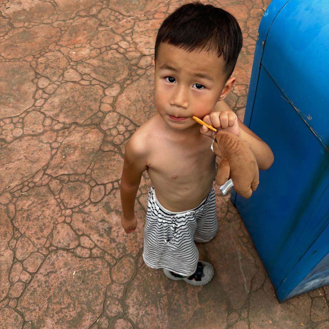孔雀東南飞