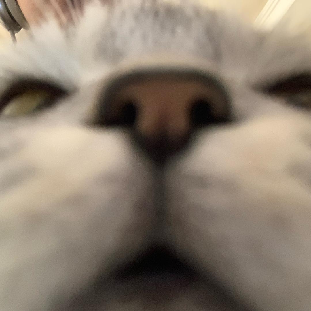 白泽白沢