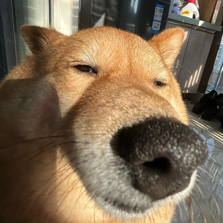 奥利大王