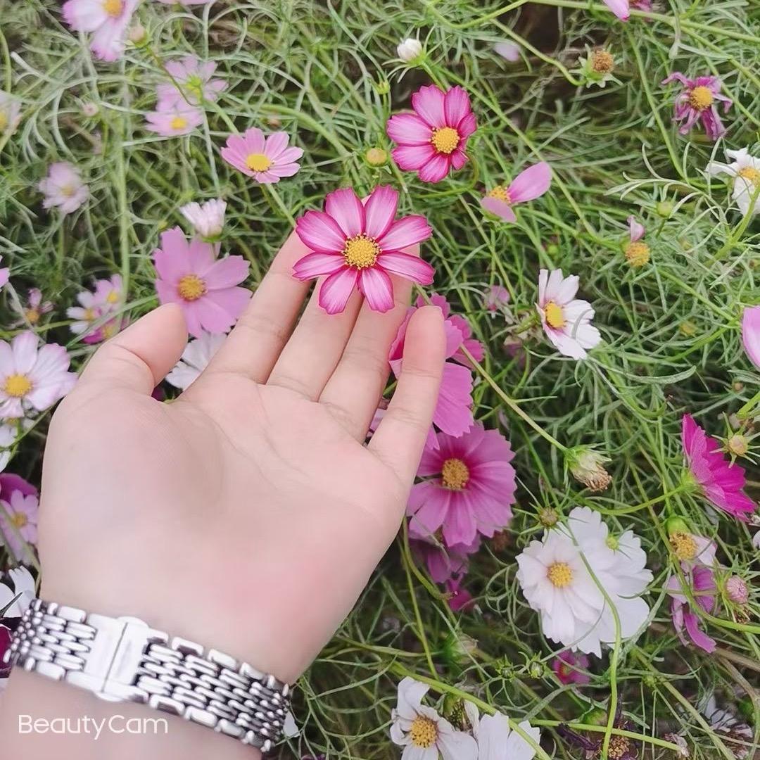 @小迷糊