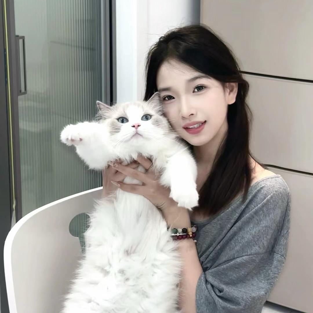 钮祜禄敏（小趴菜版 )