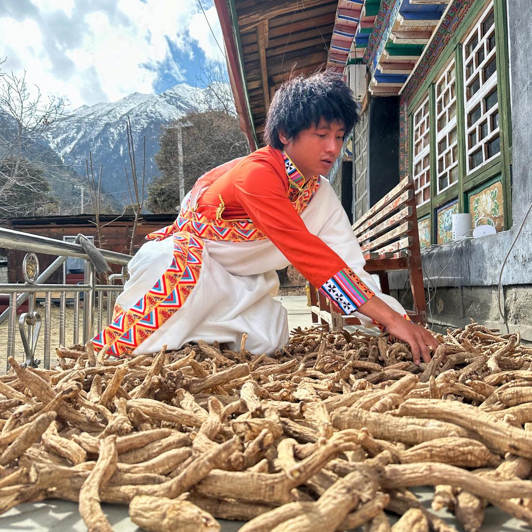 藏山草源土特产