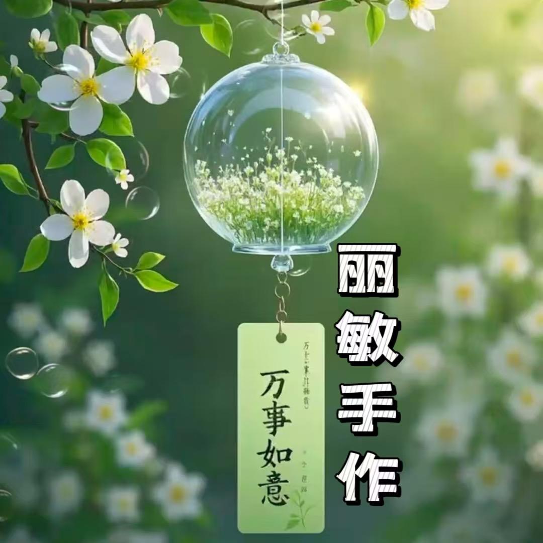 丽敏 中秋材料包
