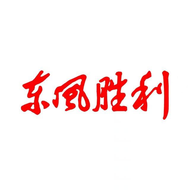 东风胜利轮胎