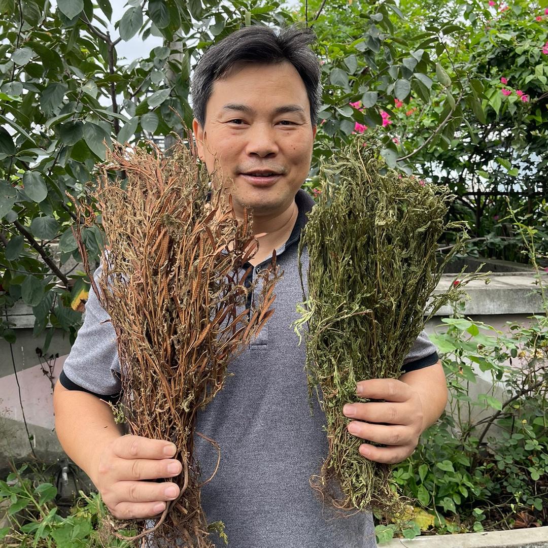 大康本草