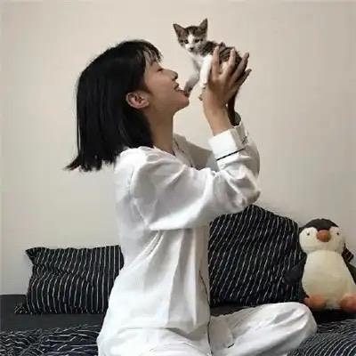 狸音。