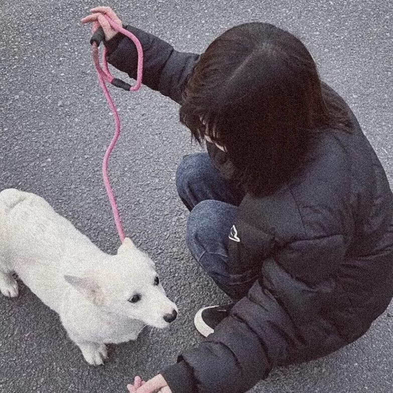 暴躁小香猪